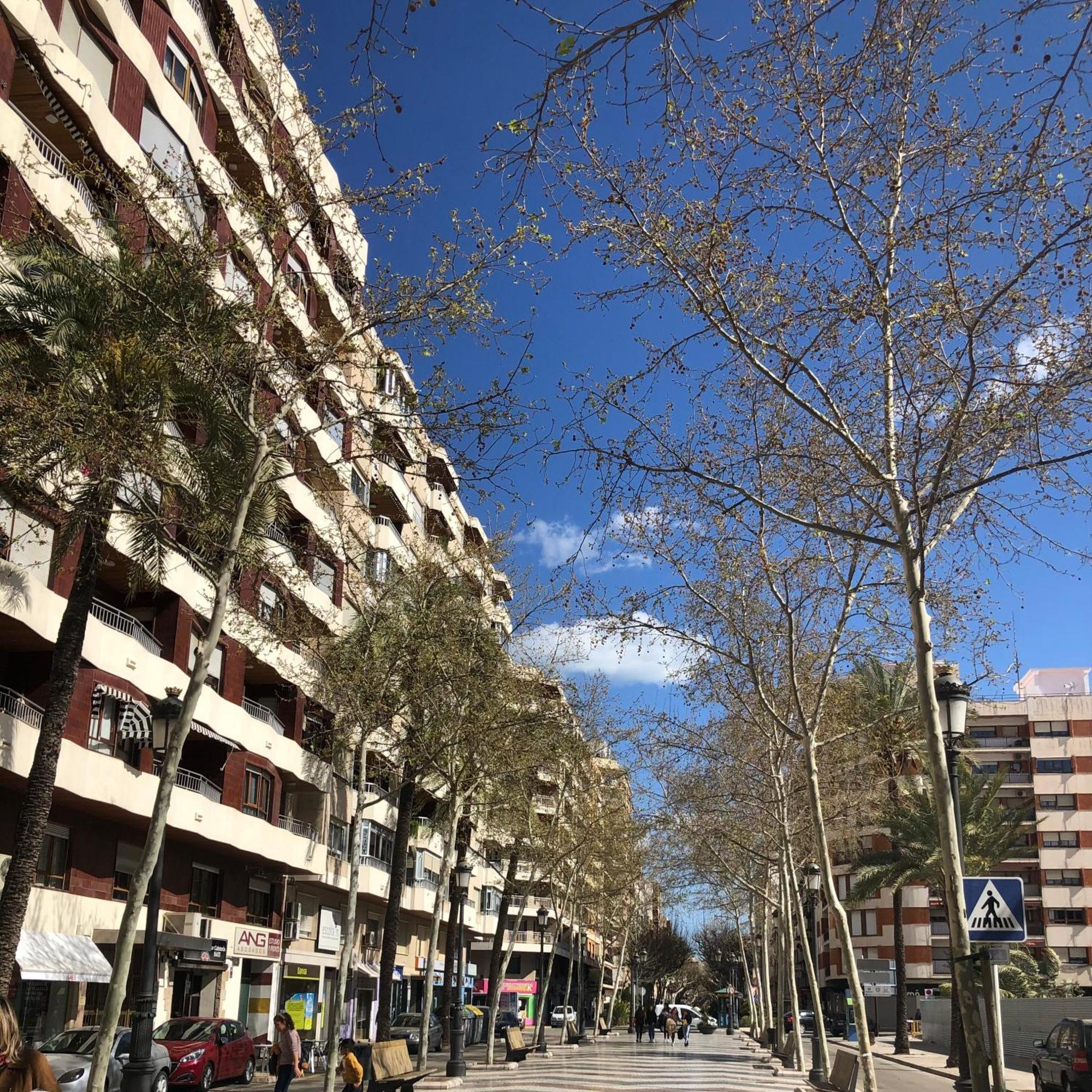 Habitaciones En Gandia A 5 Min Del Centro Historico Zewnętrze zdjęcie
